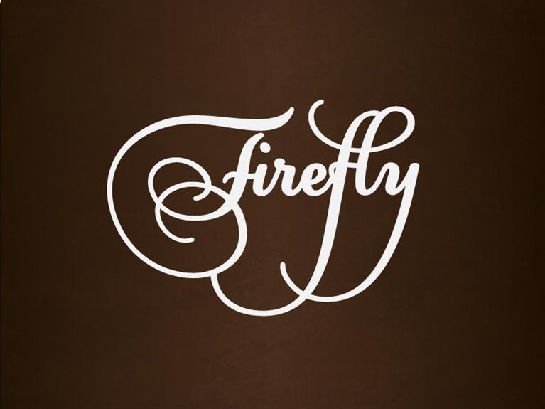 Logo & huisstijl ontwerp Firefly