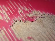 Laser gravure portretten