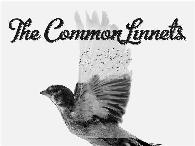 Naam, logo en artwork ontwerp The Common Linnets
